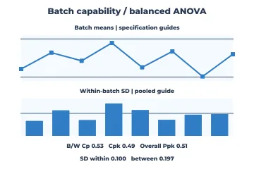 Batch capability rendered by Neper