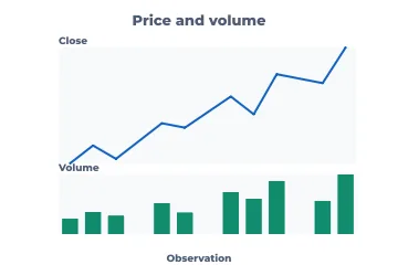 Price and volume rendered by Neper
